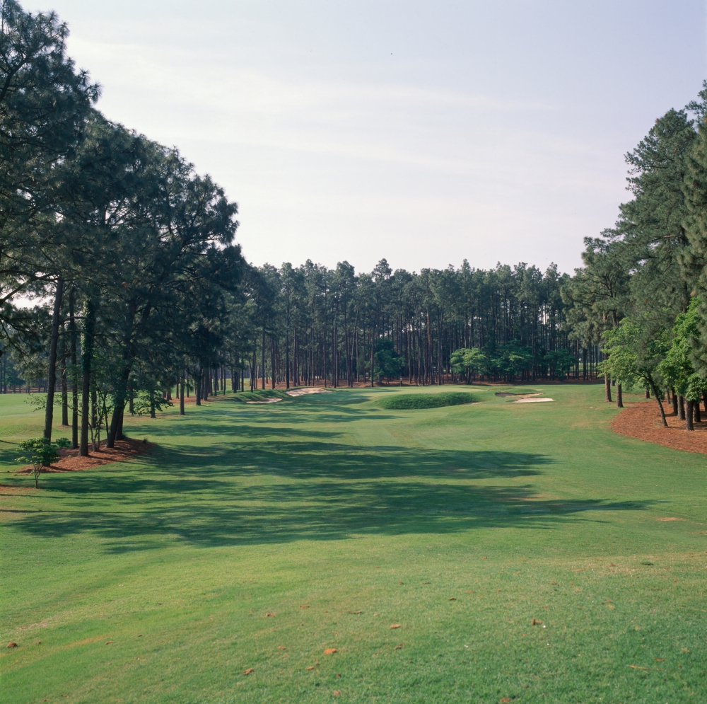 17th Hole At Golf Course Pinehurst Resort Pinehurst Moore County North Carolina Usa Poster Print, 12 X 12
