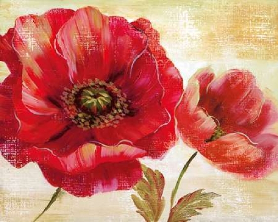 Galaxy Of Graphics Pdx14556small Passion For Poppies I Poster Print By Nan, 8 X 10 - Small