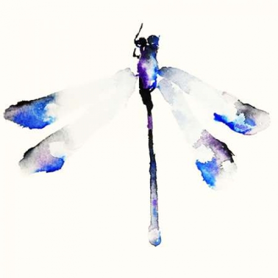 Pdxj364dsmall Blue & Violet Dragonfly Poster Print By Karin Johannesson, 12 X 12 - Small