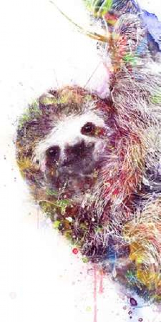 Pdxv596dsmall Sloth Poster Print By Veebee, 10 X 20 - Small