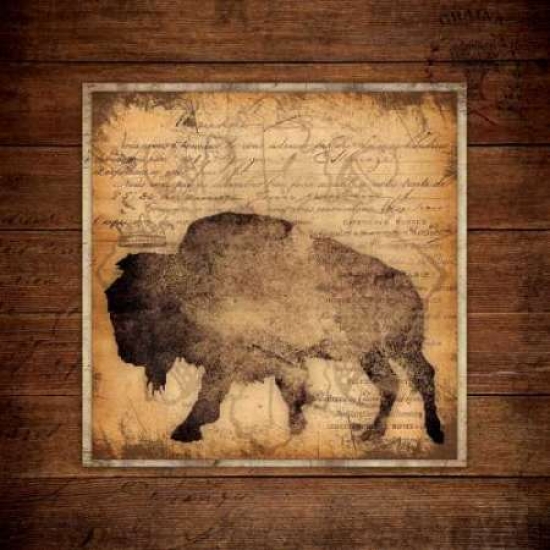 Pdxsm10253small Bison King Poster Print By Stephanie Marrott, 12 X 12 - Small