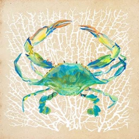 Pdx9866small Sealife Crab Poster Print By Julie Derice, 12 X 12 - Small