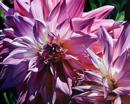 Pdxms10xsmall Dueling Dahlias Poster Print By Michael Schuh, 8 X 10 - Small