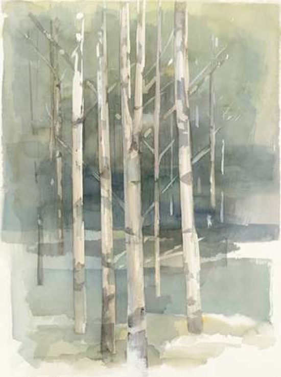 Pdx18928large Birch Grove I Poster Print By Avery Tillmon, 18 X 24 - Large
