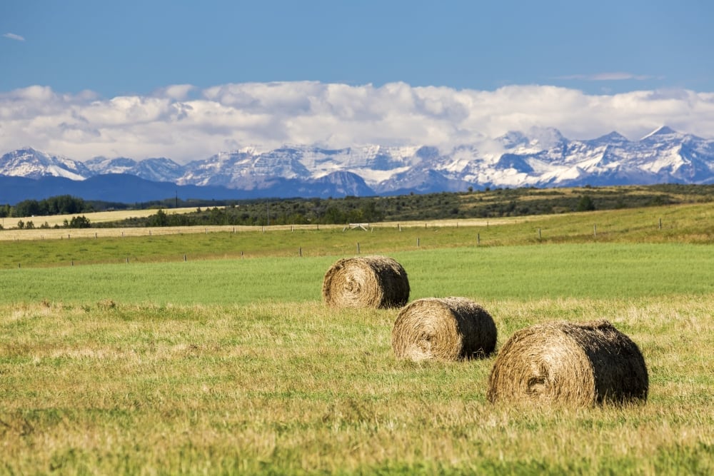 Three Hay Bales In A Field With Mountains In The Background Slightly Snow Covered & Cloudy With Blue Sky Poster Print - 38 X 24 In. - Large