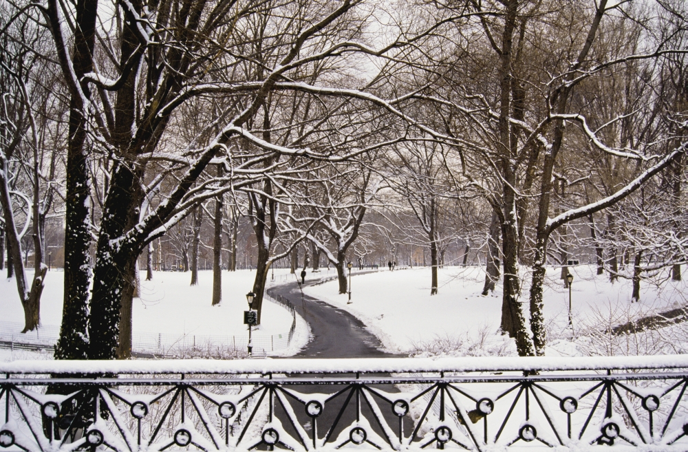 DPI1891916LARGE Snow In Central Park Poster Print, 38 x 24 - Large