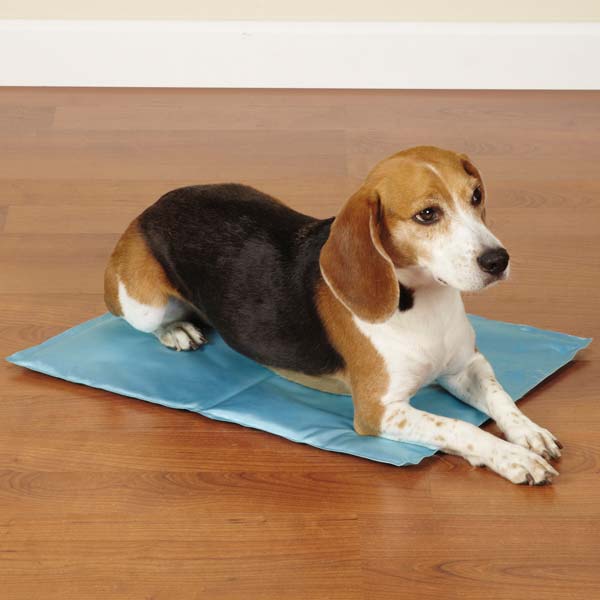 Pet Beds and Houses