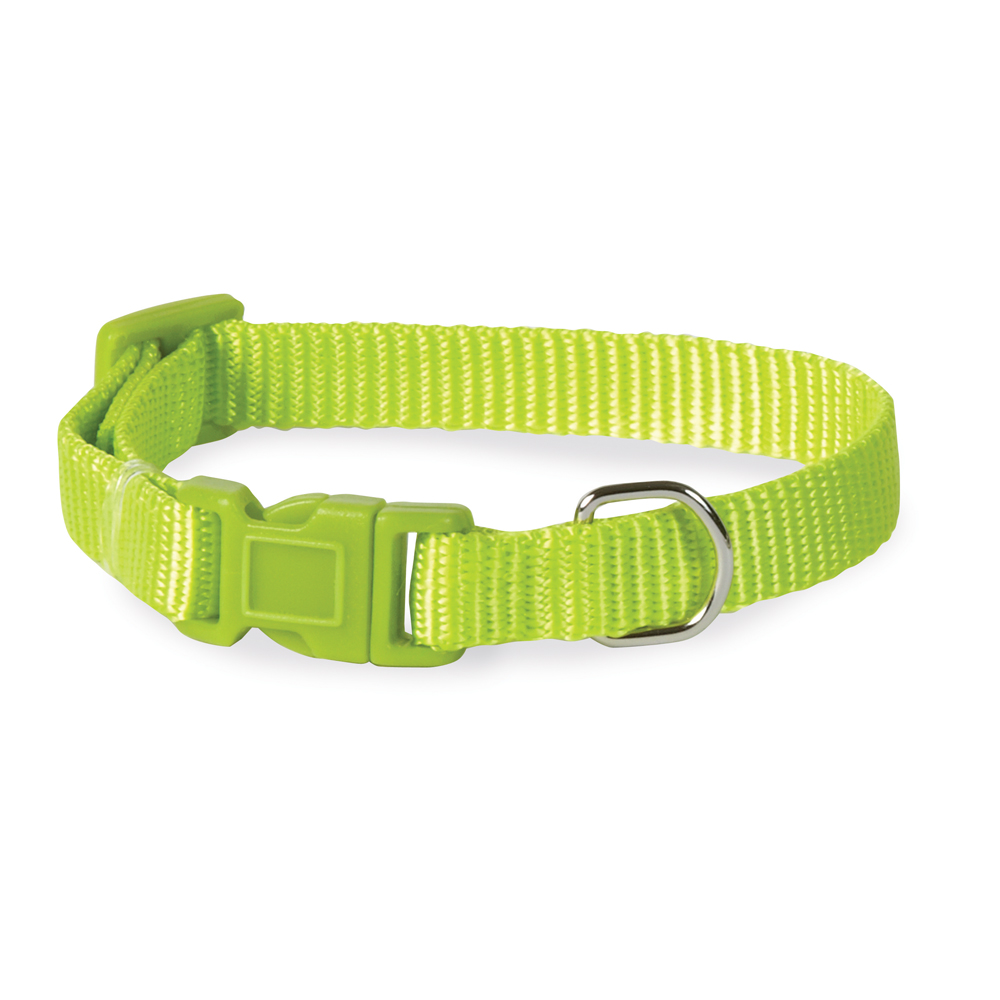 Zm2391 10 70 10-16 In. Nylon Dog Collar, Light Green