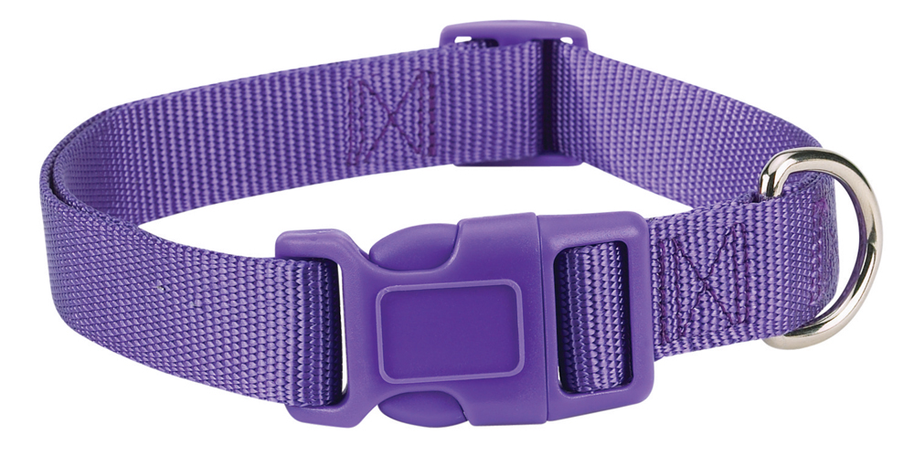 Zm2391 18 94 18-26 In. Nylon Dog Collar, Purple