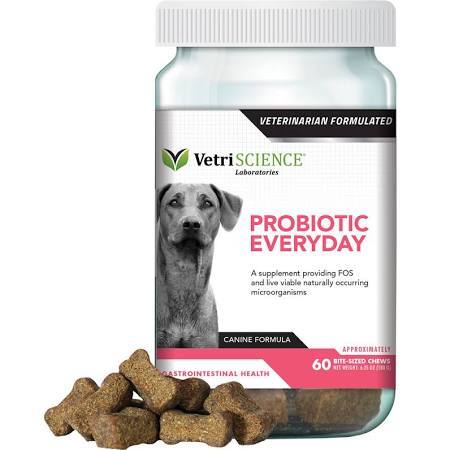 75401190 Probiotic For Dog - 60 Count