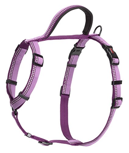 Company Of Animals 31117351 Halti Walking Harness, Purple - Large