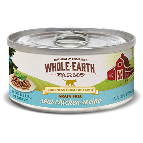 UPC 022808860440 product image for Merrick - Whole Earth Farms 61186044 5 oz Grain Free Chicken Morsels Gravy for C | upcitemdb.com