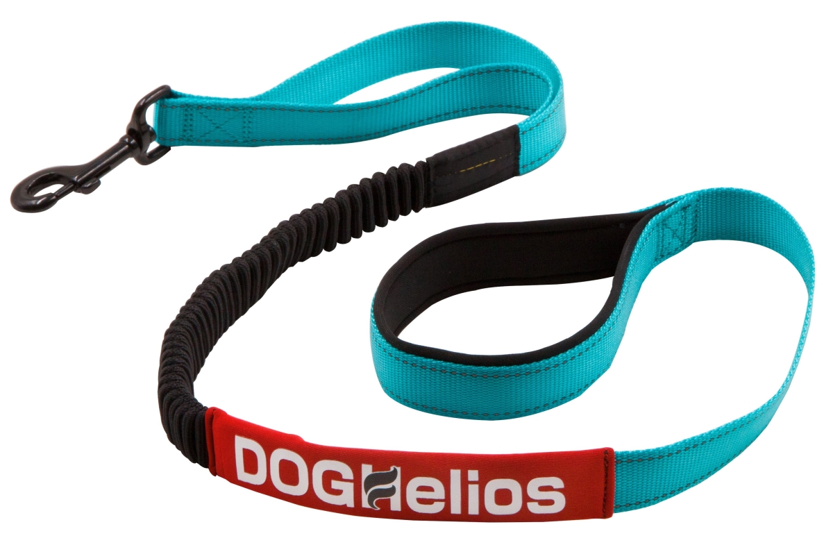 Ls6blmd Neo Indestructible Embroidered Thick Durable Pet Dog Leash, Aqua Blue - Medium