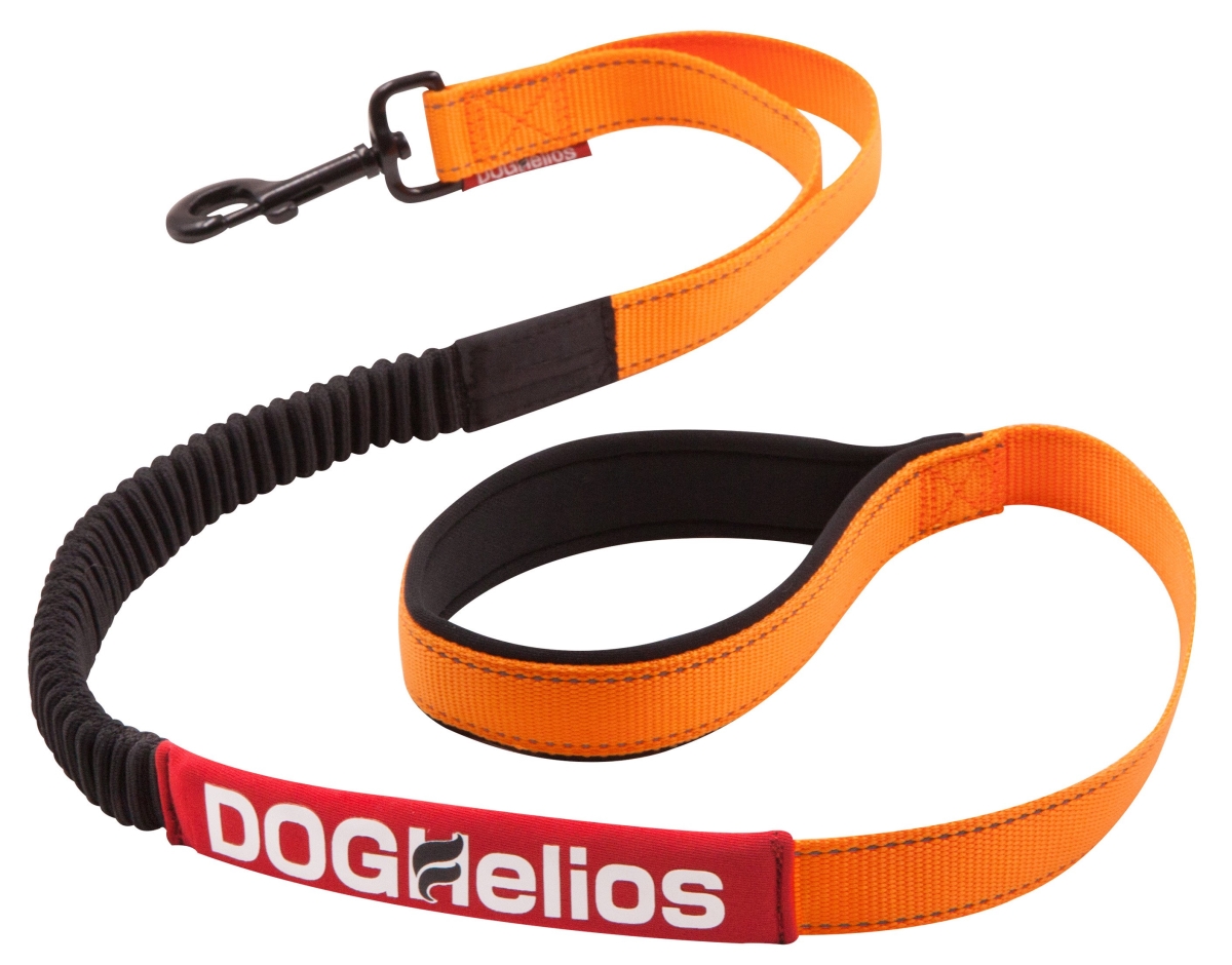 Ls6ormd Neo Indestructible Embroidered Thick Durable Pet Dog Leash, Orange - Medium
