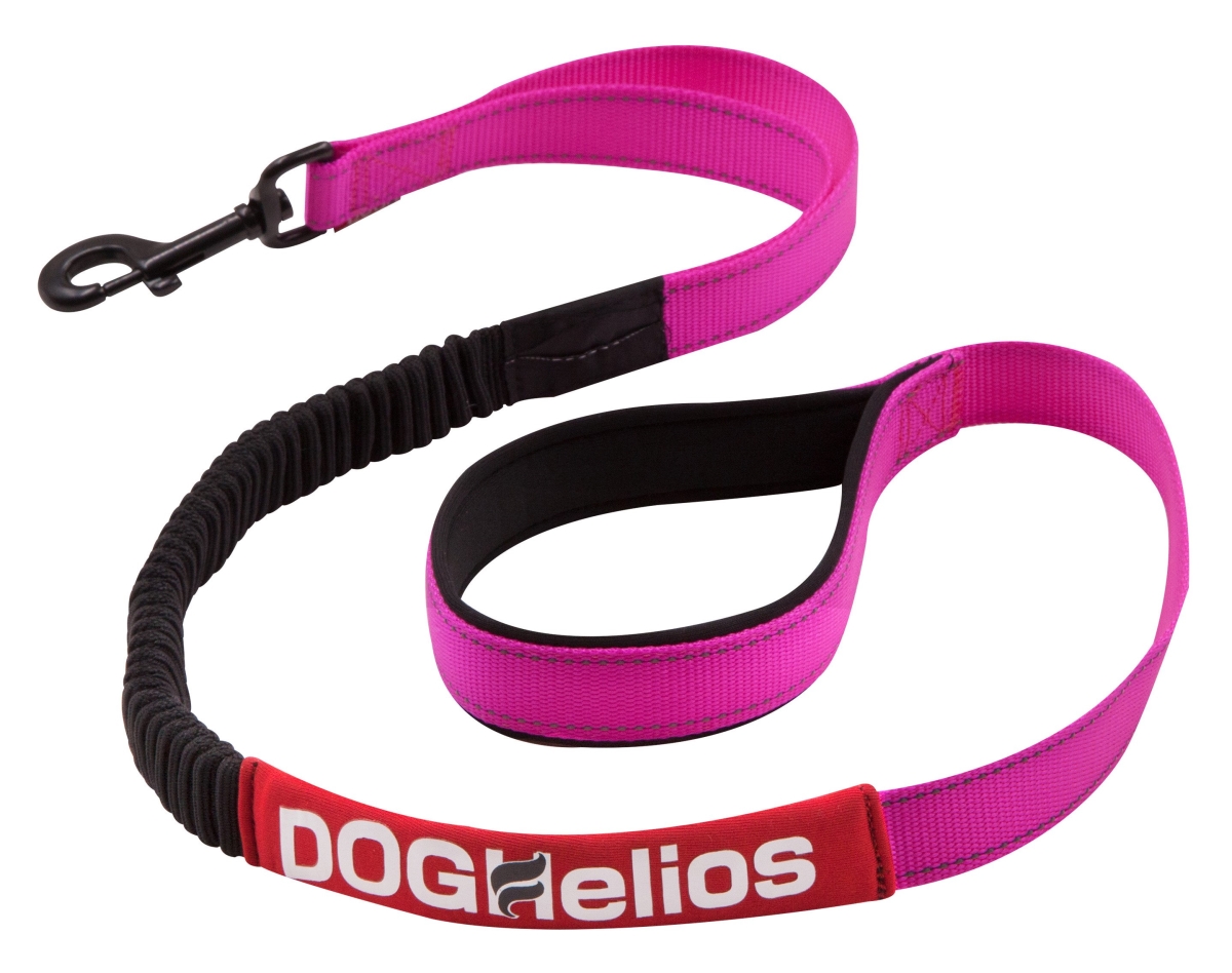 Ls6pksm Neo Indestructible Embroidered Thick Durable Pet Dog Leash, Pink - Small