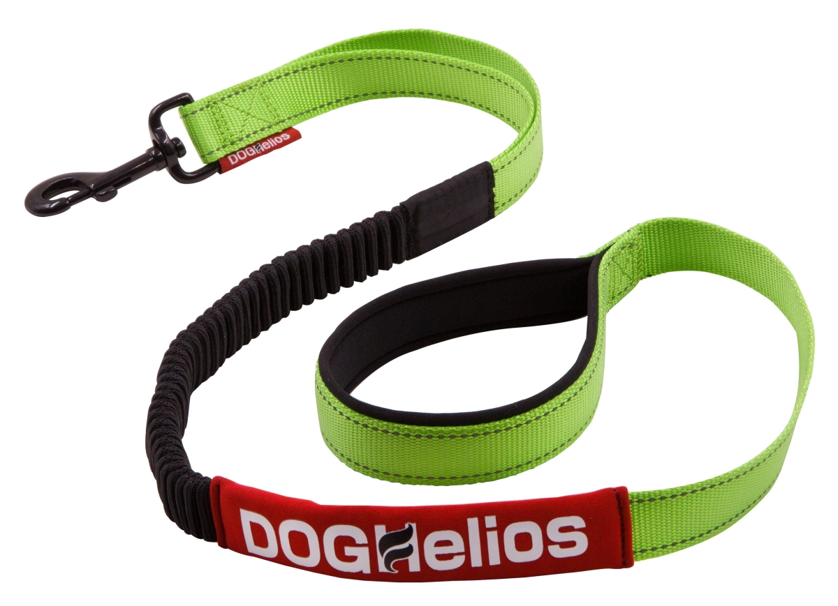 Ls6gnsm Neo Indestructible Embroidered Thick Durable Pet Dog Leash, Green - Small