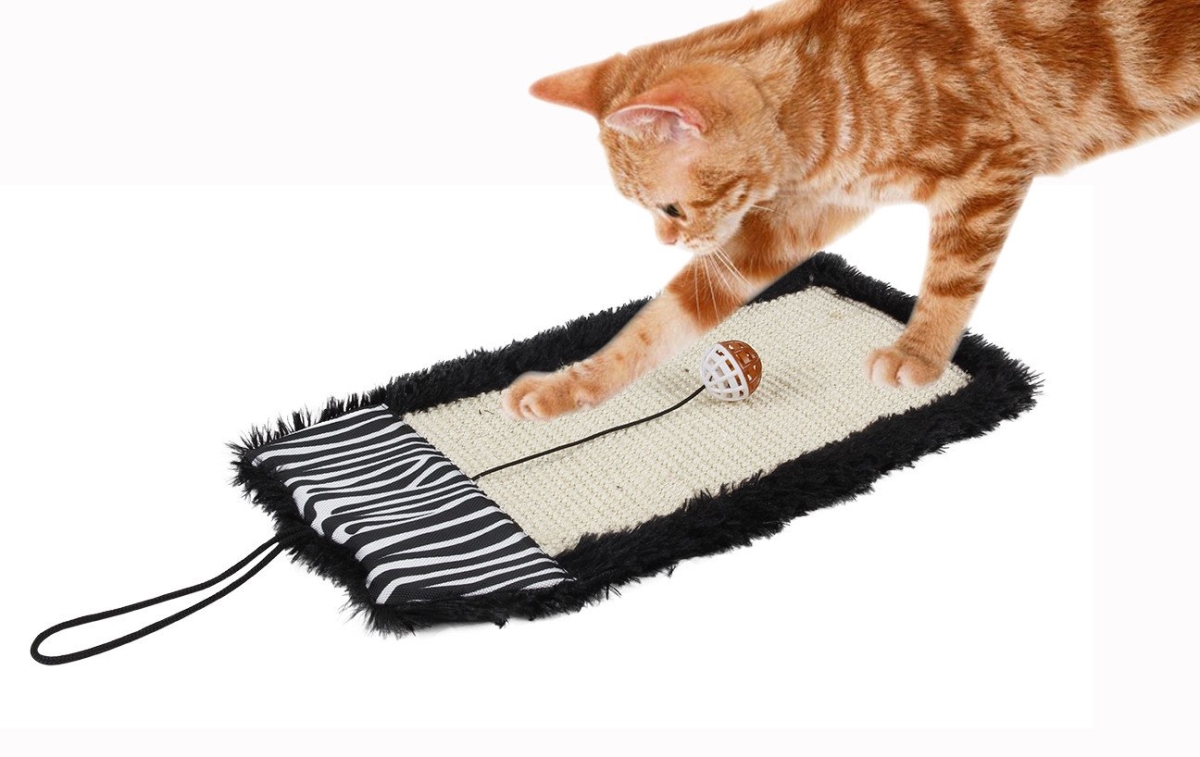 Sisal & Jute Hanging Carpet Cat Scratcher With Toy, Black - One Size