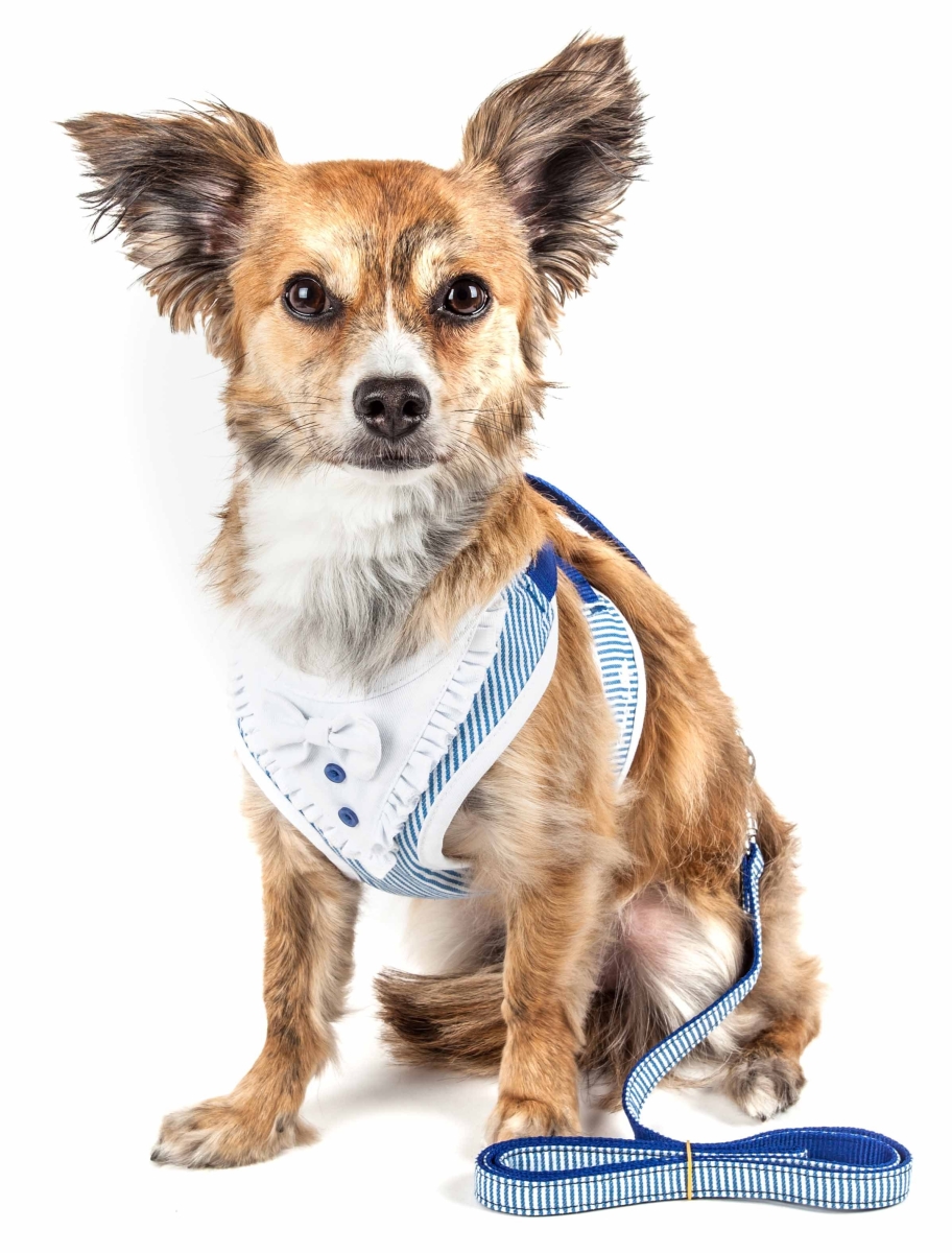 Pet Life Ha25blxs Luxe Spawling 2-in-1 Mesh Reversed Adjustable Dog Harness-leash With Fashion Bowtie, Blue - Extra Small