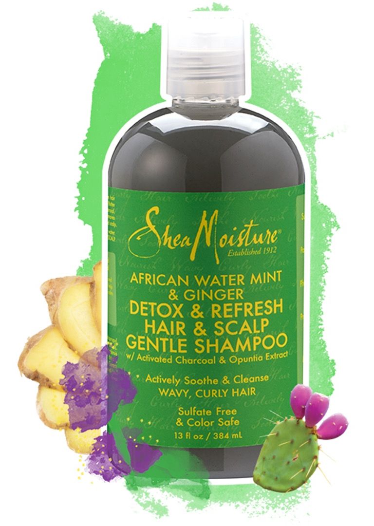 K0000405 13 Oz African Water Mint & Ginger Detox Hair & Scalp Gentle Shampoo Duo By For Unisex