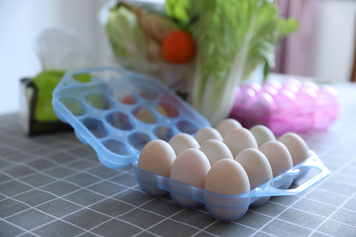Picture of Basicwise QI003329B Clear Plastic Egg Carton, 12 Egg Holder Carrying Case with Handle, Blue
