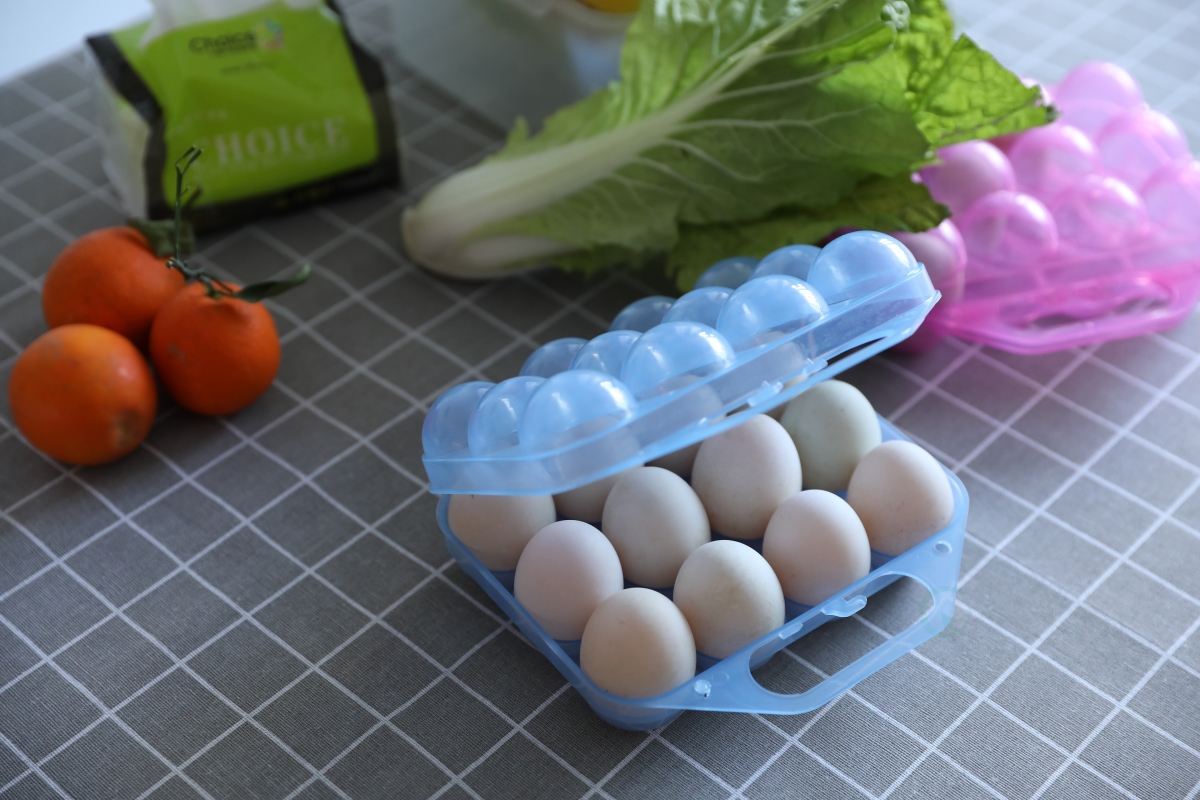 Picture of Basicwise QI003329B Clear Plastic Egg Carton, 12 Egg Holder Carrying Case with Handle, Blue