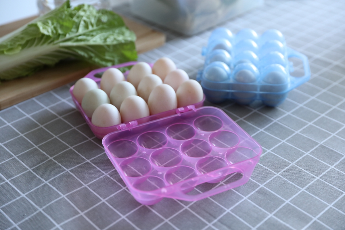 Picture of Basicwise QI003329BP Clear Plastic Egg Carton, 12 Egg Holder Carrying Case with Handle, Set of 2
