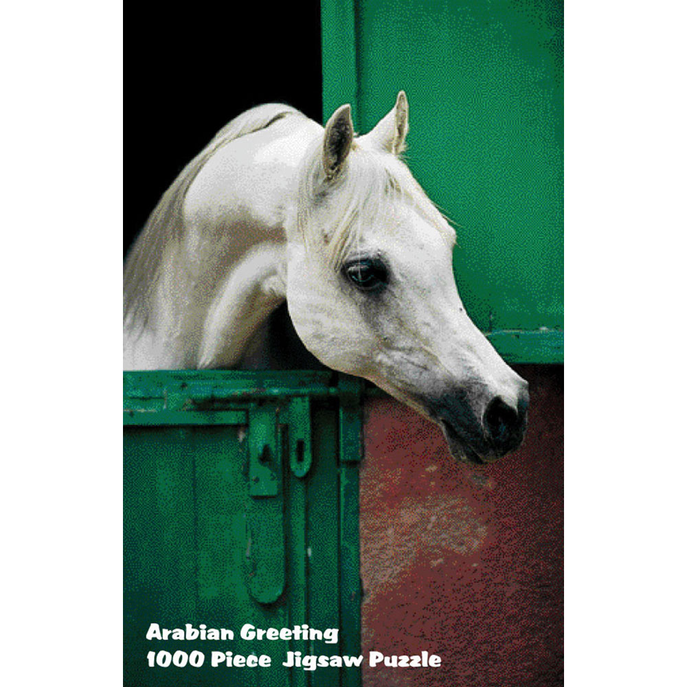 600142 28.8 X 20.25 In. Puzzles - Arabian Greeting