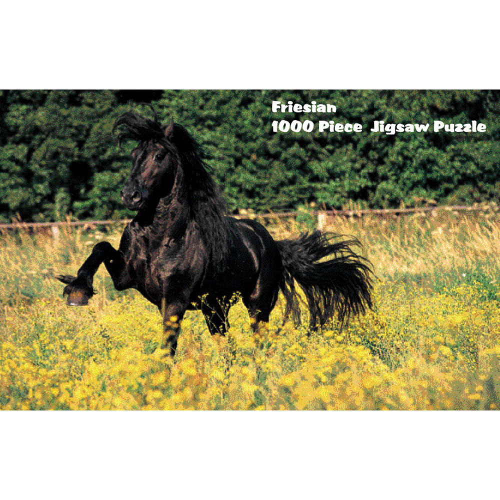 600144 Puzzles - Friesian