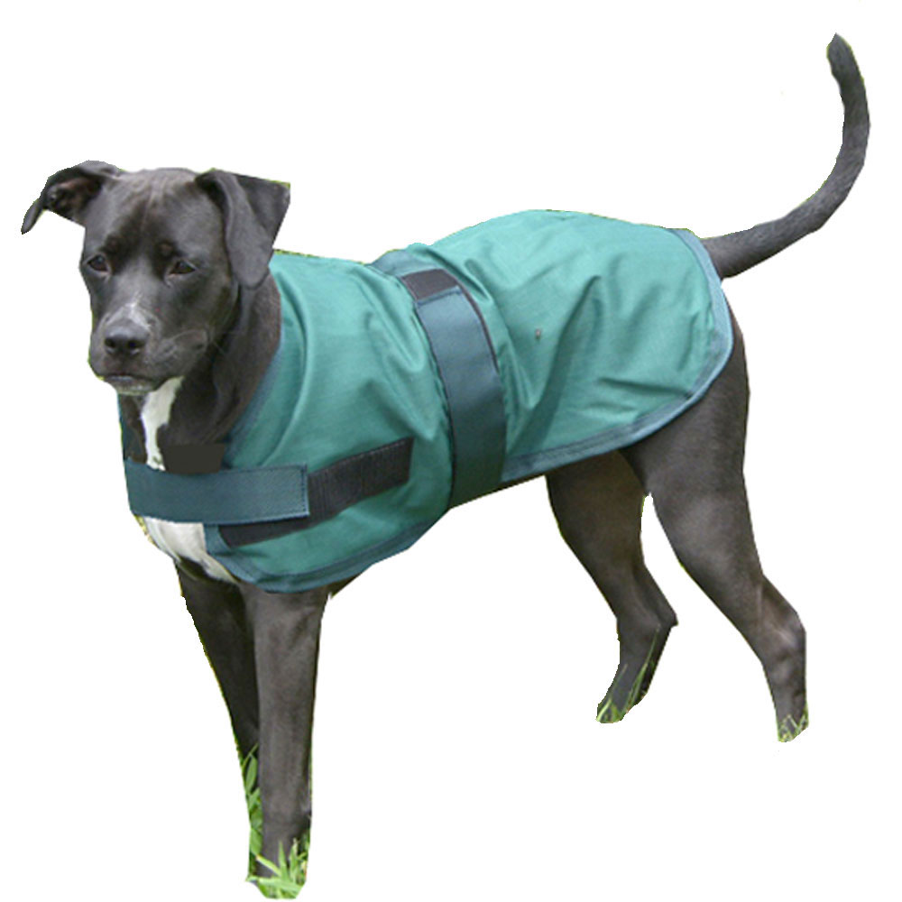 266bk10 10 In. Dog Rain Coat, Black & Grey
