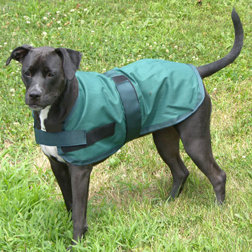 266hg16 16 In. Dog Rain Coat, Hunter Green & Navy