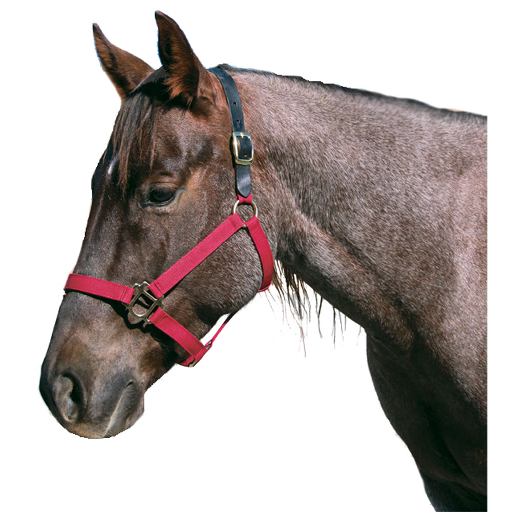 123033 Polyster Breakaway Large Horse Halter, Red - Large