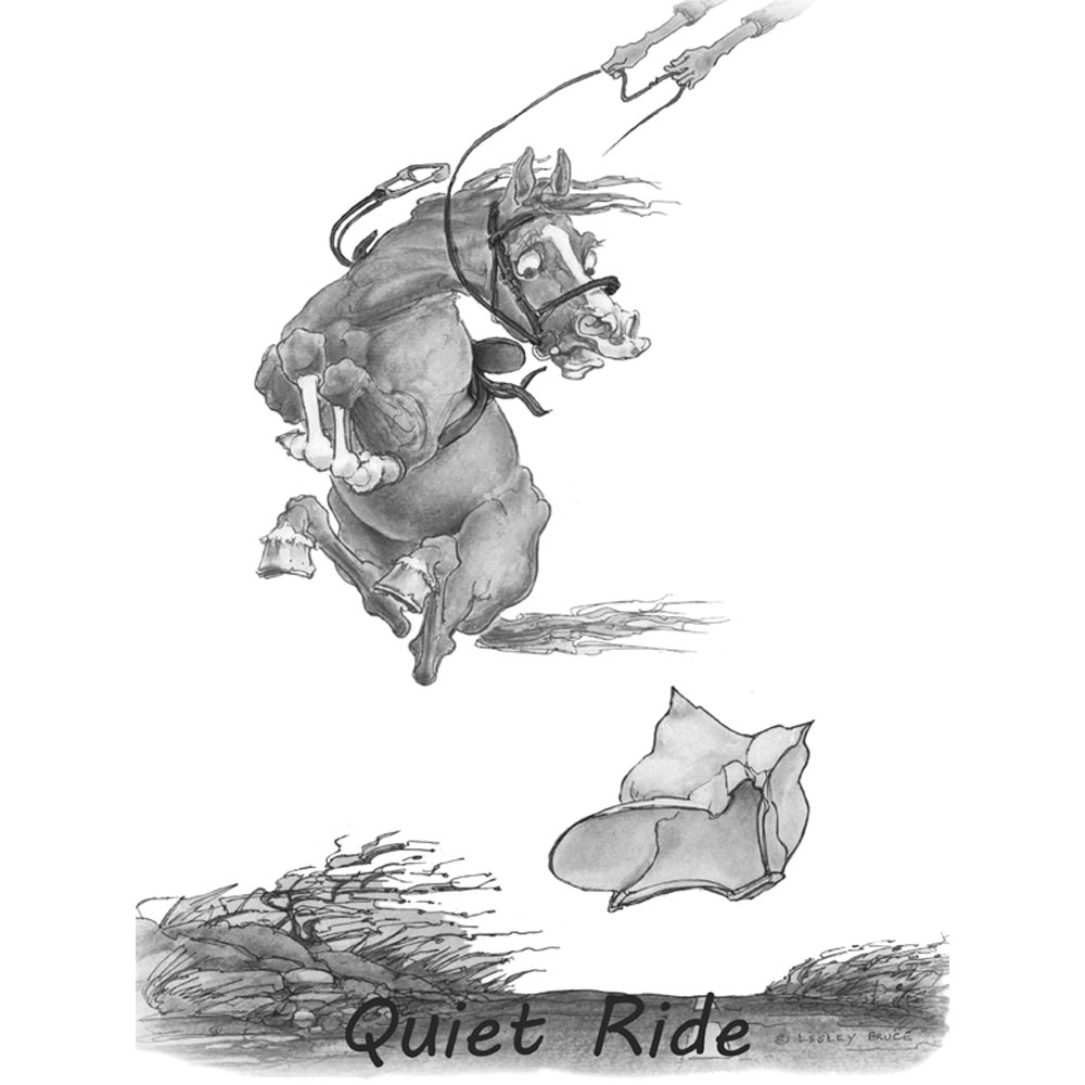 Ec84mwt2 Jude Too Comical Horse Tee Shirts Quiet Ride, White - Medium
