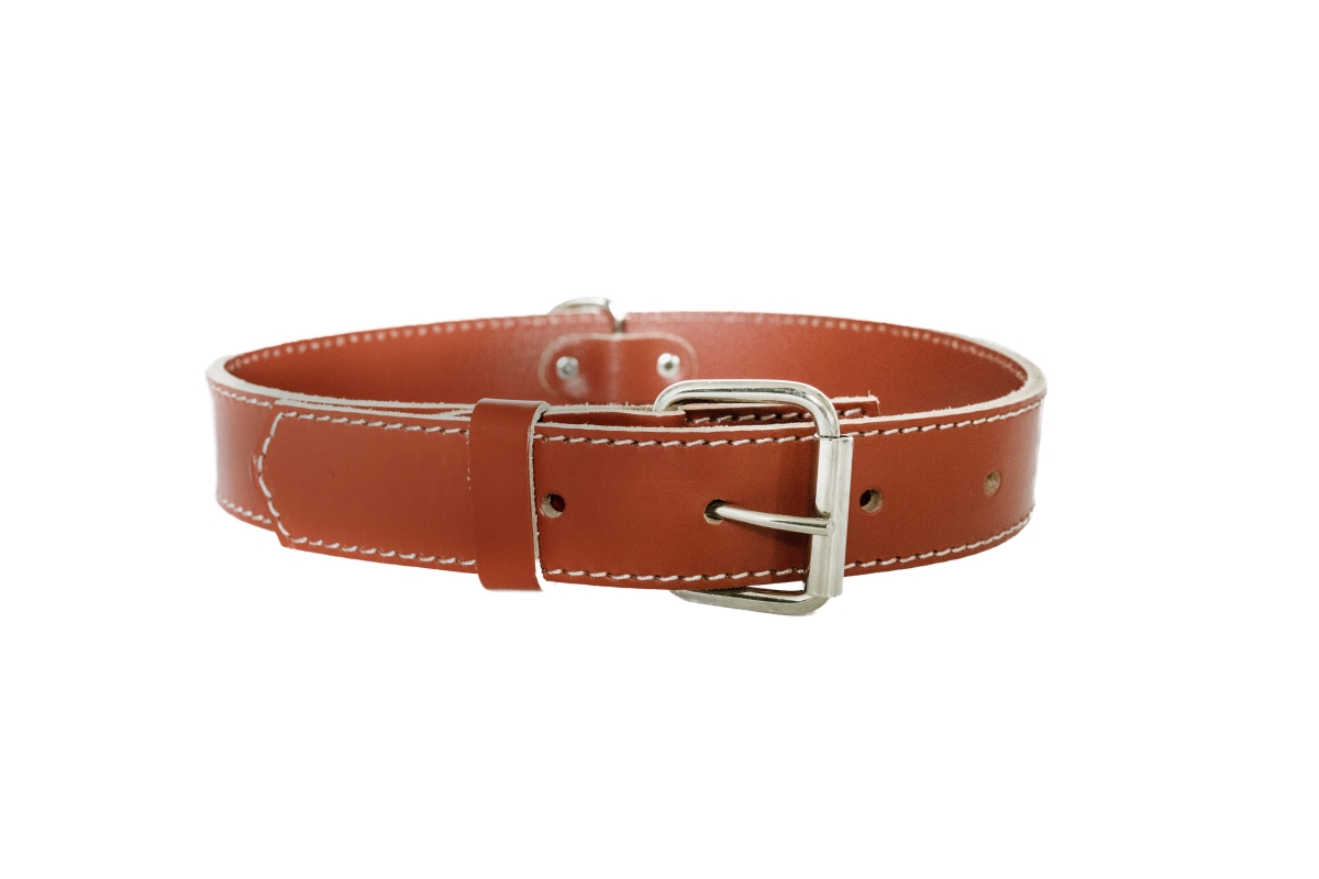 684334536994 Luxury Leather Traditional Collar, Red - Medium