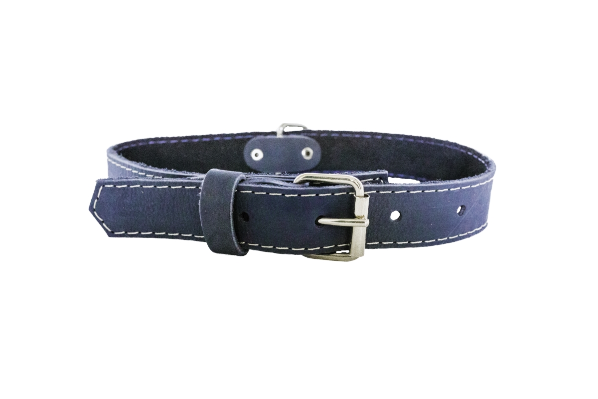 684334537021 Luxury Soft Leather Traditional Collar, Navy - 2xl