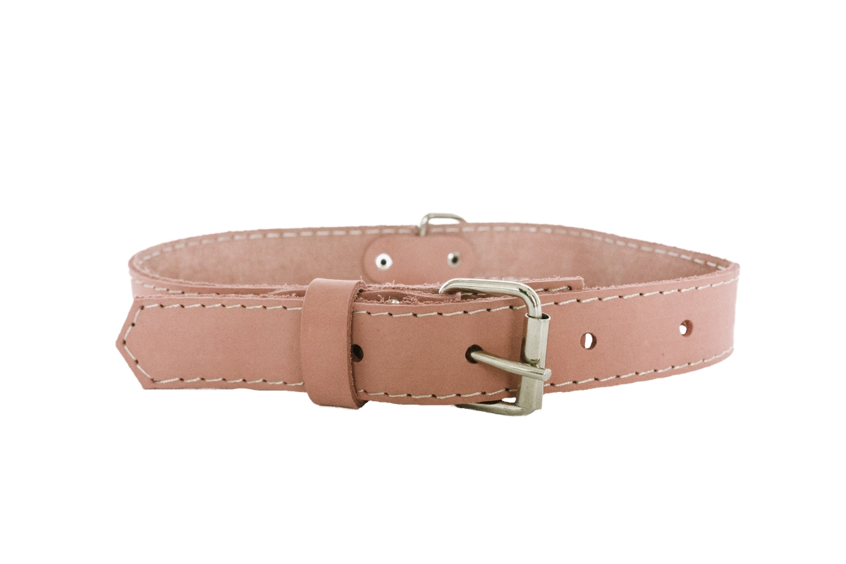 688474604032 Luxury Soft Leather Traditional Collar, Coral - Extra Small