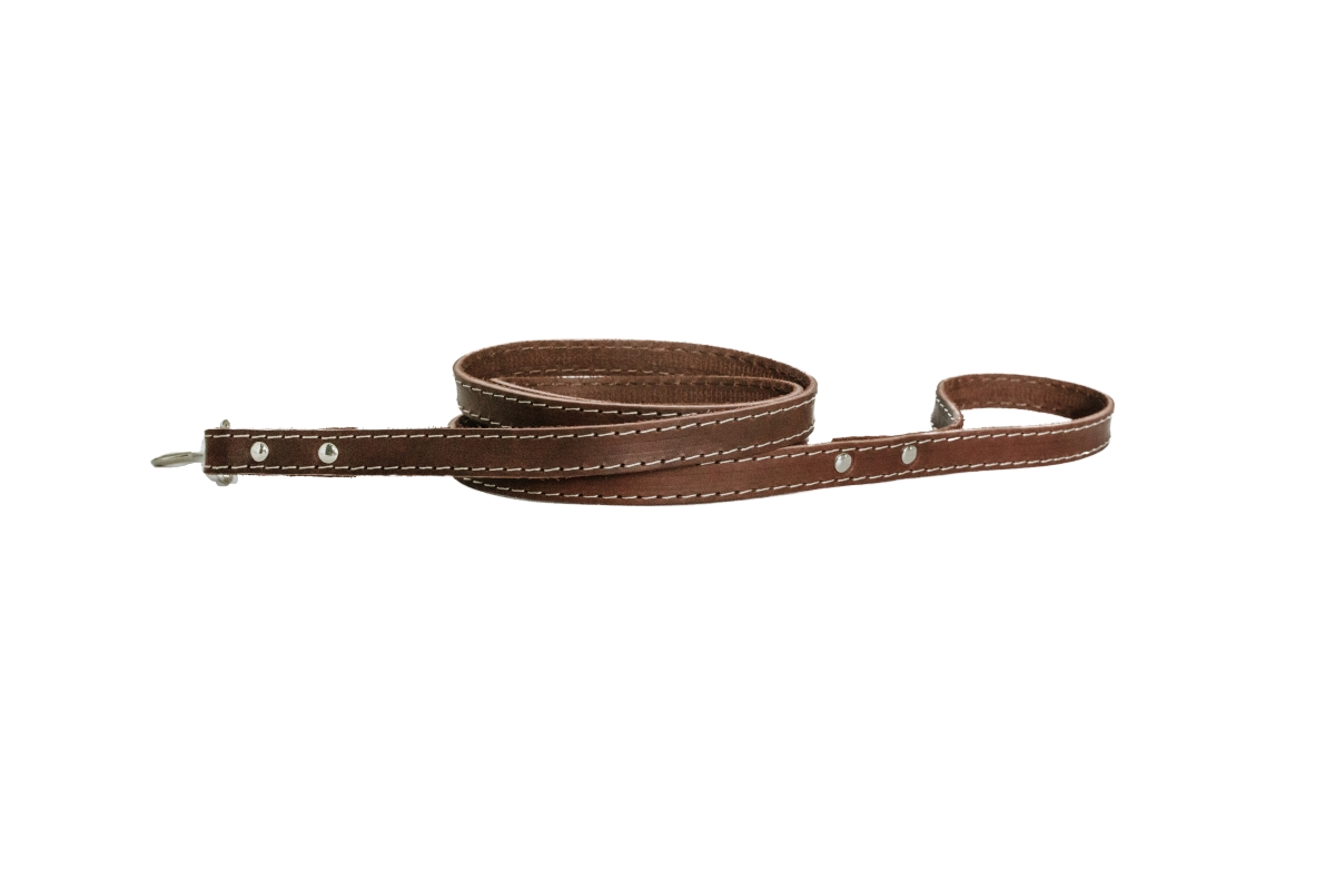688474604186 6 Ft. Luxury Leather Lead, Burgundy - Small