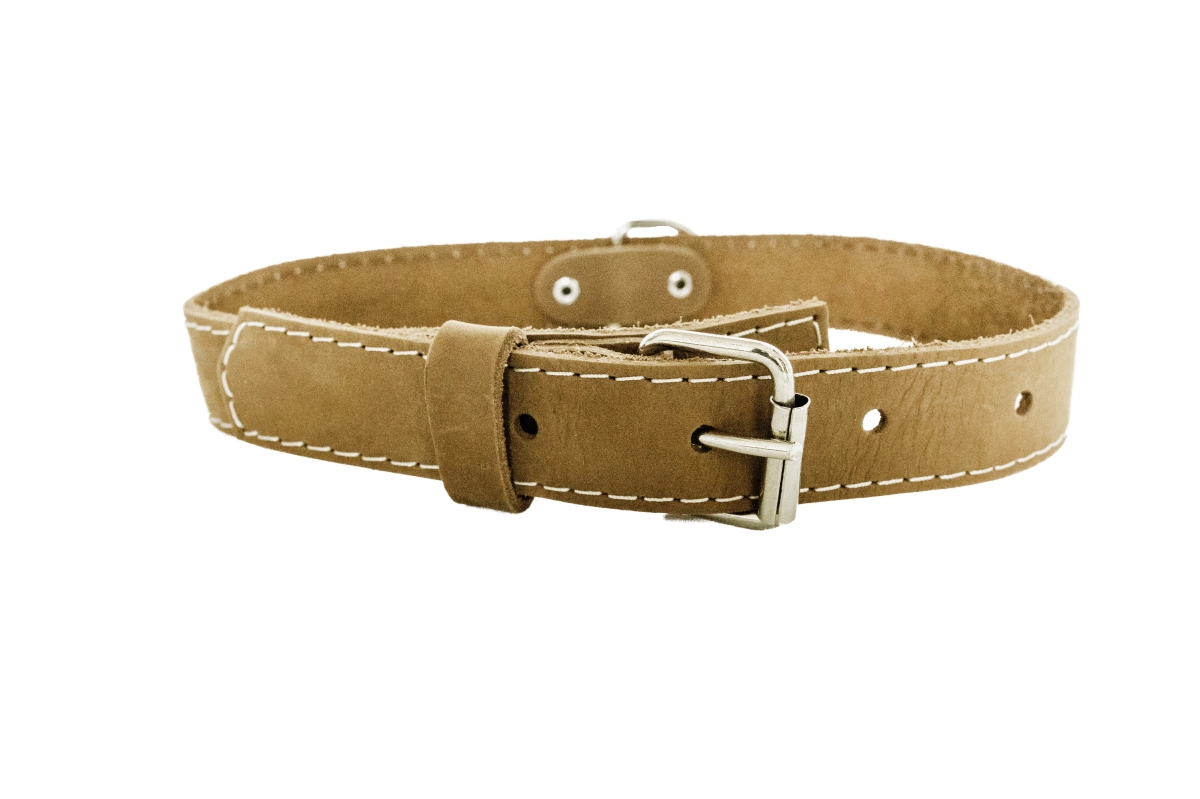 688474604261 Luxury Soft Leather Traditional Collar, Bark Brown - Medium
