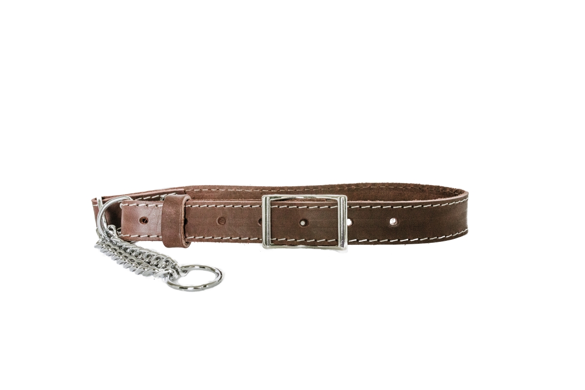 691054770126 Luxurious Leather Martingale Collar, Burgundy - Extra Small