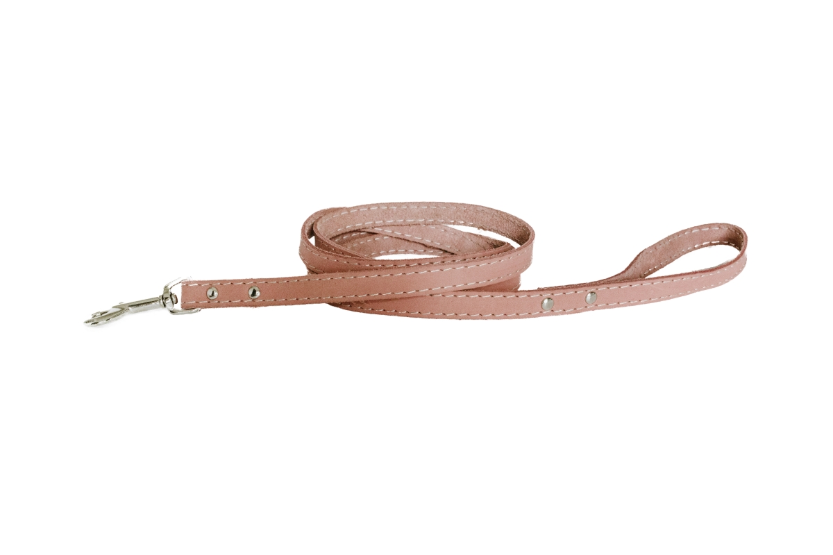 691054770348 6 Ft. Luxury Soft Leather Lead, Coral - Large