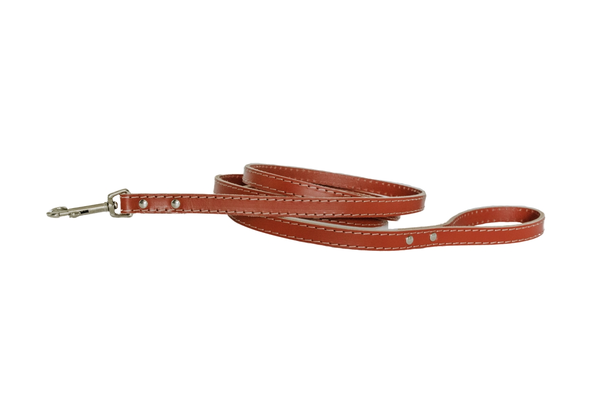691054770409 6 Ft. Luxury Leather Lead, Red - Large