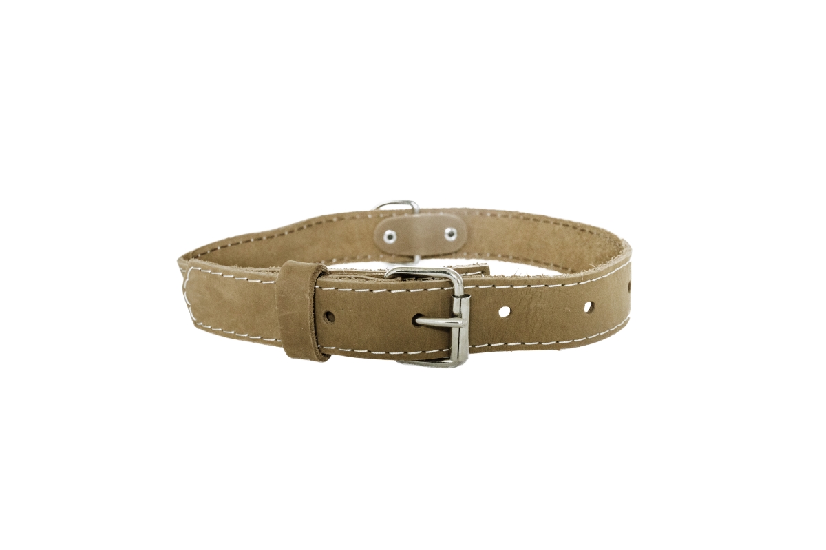 691054808591 Luxury Soft Leather Traditional Collar, Tan - Extra Small