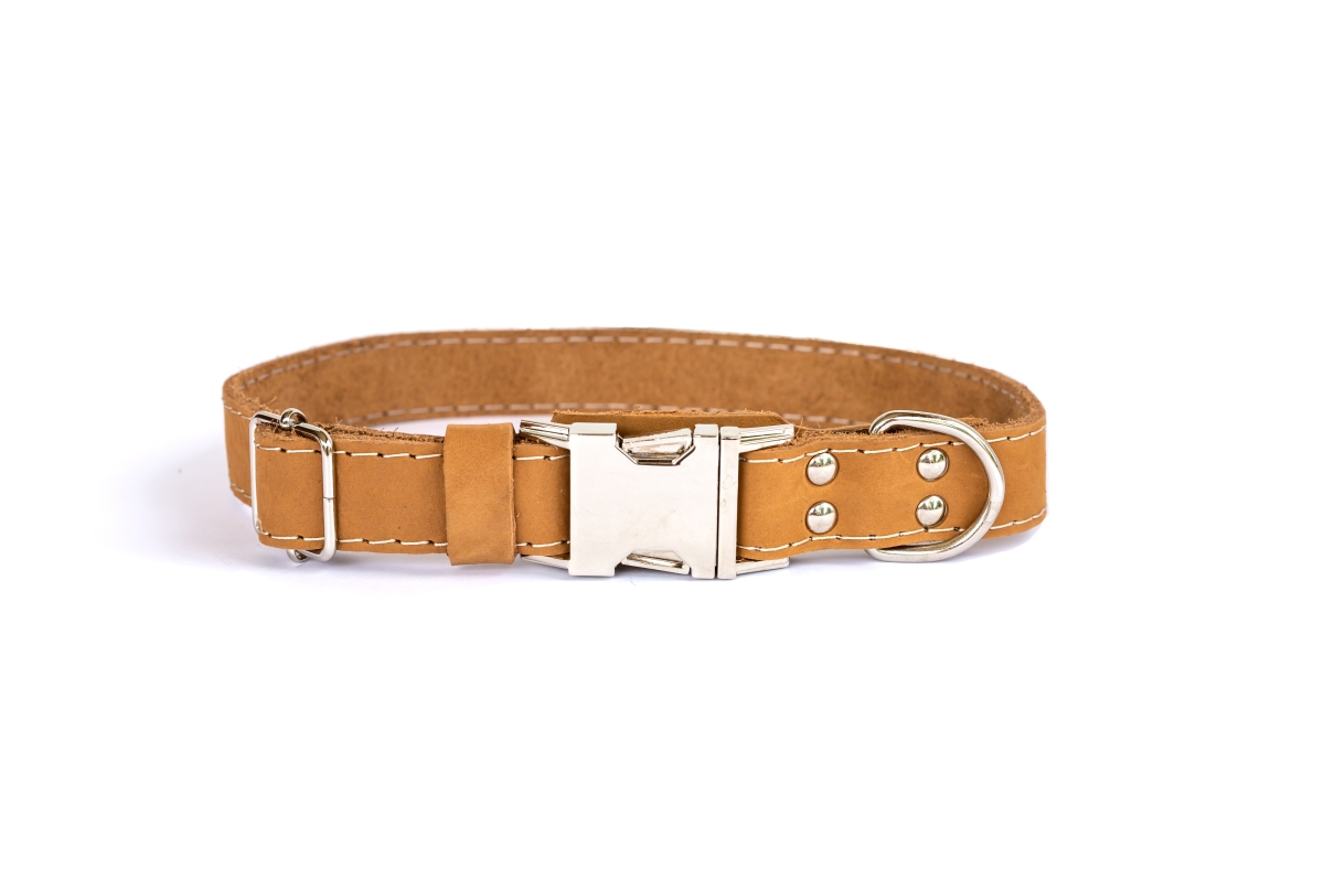691054808904 Luxury Soft Leather Quick - Release Collar, Tan - Small