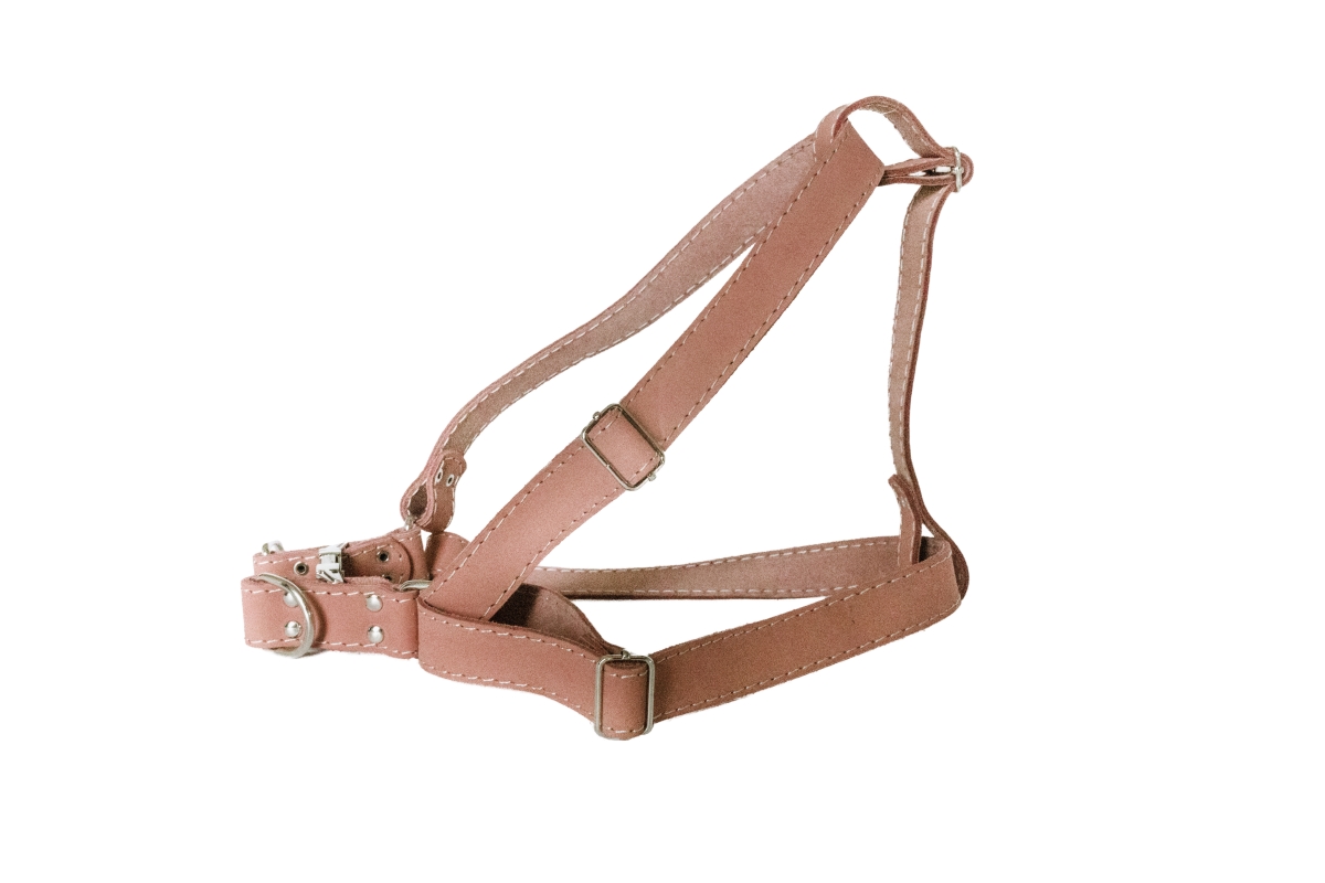 707129281654 Luxury Soft Leather Step-in Harness, Coral - Large