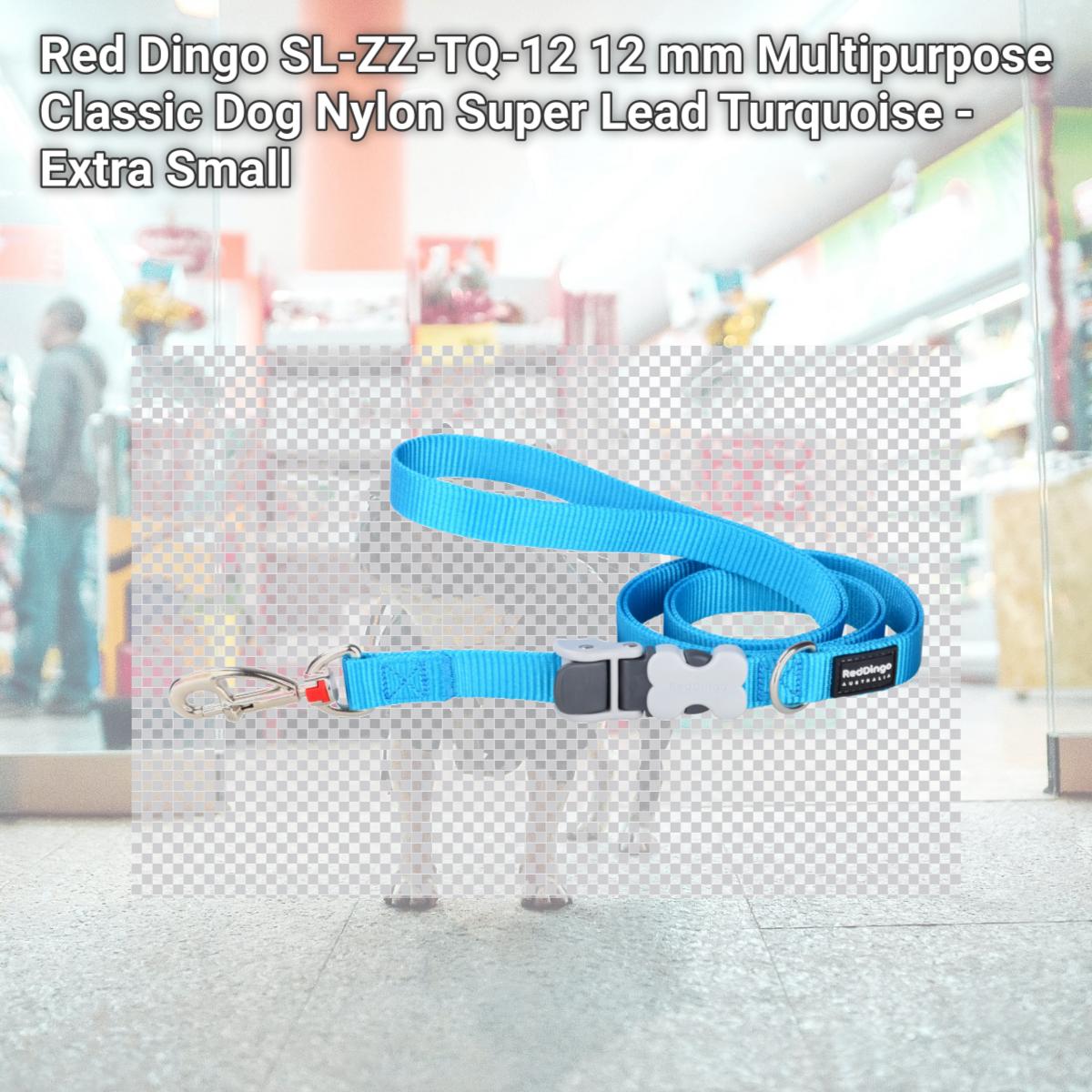 Picture of Red Dingo SL-ZZ-TQ-12 12 mm Multipurpose Classic Dog Nylon Super Lead Turquoise - Extra Small