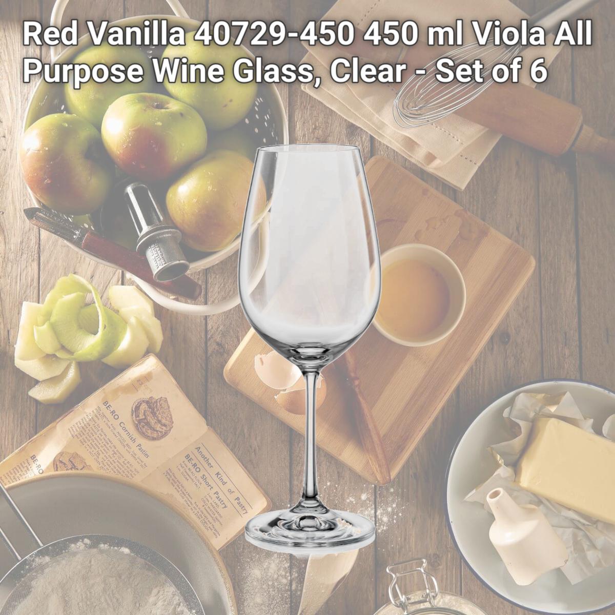 Picture of Red Vanilla 40729-450 450 ml Viola All Purpose Wine Glass, Clear - Set of 6