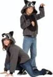 40529-l Rocky Roccoon Child Hoodie Costume - Large