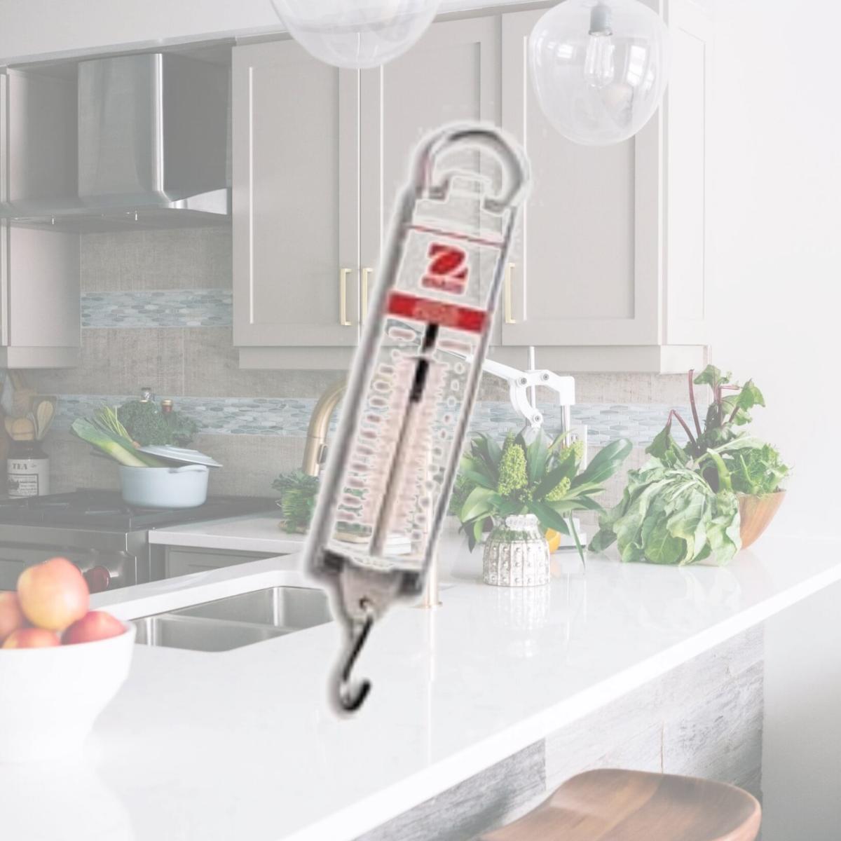 Picture of Ohaus 8002-MN Pull Spring Scale, 500 g