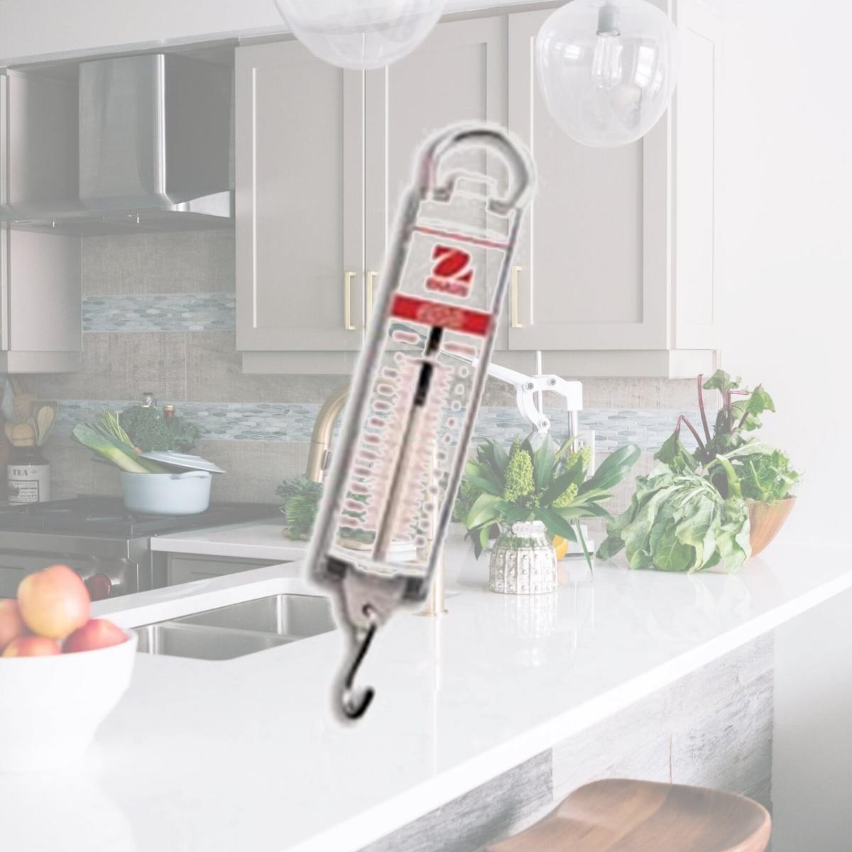 Picture of Ohaus 8004-MN Pull Spring Scale,2000 g
