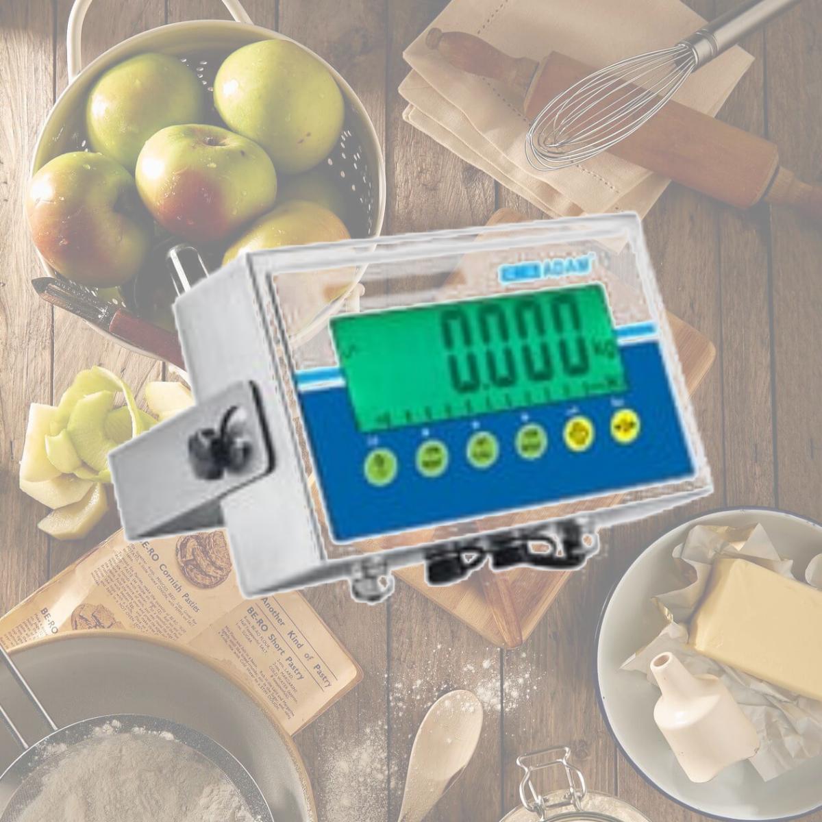 Picture of Adam Equipment Adam-AE-403a Stainless Steel Washdown Industrial Scale Indicator