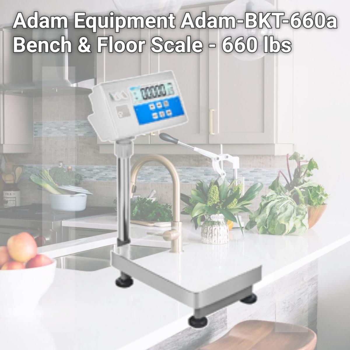 Picture of Adam Equipment Adam-BKT-660a Bench & Floor Scale - 660 lbs
